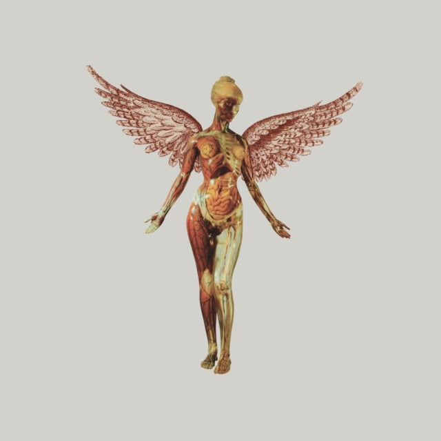 This is a 2 LP Vinyl SKU bundle.
1.This LP Vinyl is brand new.Format: LP VinylMusic Style: GrungeThis item's title is: In Utero (30Th Anniversary) (8LP)Artist: NirvanaLabel: DGC David Geffen Records Inc.Barcode: 602455178213Release Date: 10/27/2023
2.This LP Vinyl is brand new.