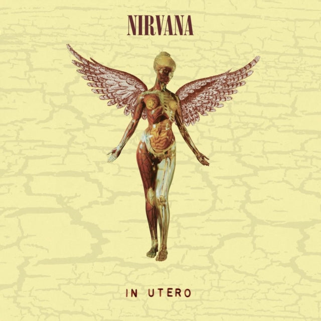 This is a 5 LP Vinyl SKU bundle.
1.This LP Vinyl is brand new.Format: LP VinylMusic Style: Alternative RockThis item's title is: Nevermind (30Th Anniversary/Super Deluxe/8LP/7Inch)Artist: NirvanaLabel: GEFFENBarcode: 602435979861Release Date: 5/27/2022
2.This LP Vinyl is brand new.