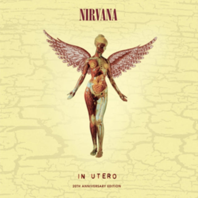 This is a 4 LP Vinyl SKU bundle.
1.This LP Vinyl is brand new.Format: LP VinylMusic Style: Alternative RockThis item's title is: Nevermind (30Th Anniversary/Super Deluxe/8LP/7Inch)Artist: NirvanaLabel: GEFFENBarcode: 602435979861Release Date: 5/27/2022
2.This LP Vinyl is brand new.