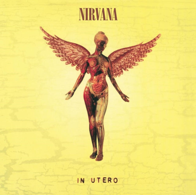This is a 4 LP Vinyl SKU bundle.
1.This LP Vinyl is brand new.Format: LP VinylMusic Style: GrungeThis item's title is: Nirvana (150G/Dl Code)Artist: NirvanaLabel: GEFFENBarcode: 602547378781Release Date: 12/4/2015
2.This LP Vinyl is brand new.
