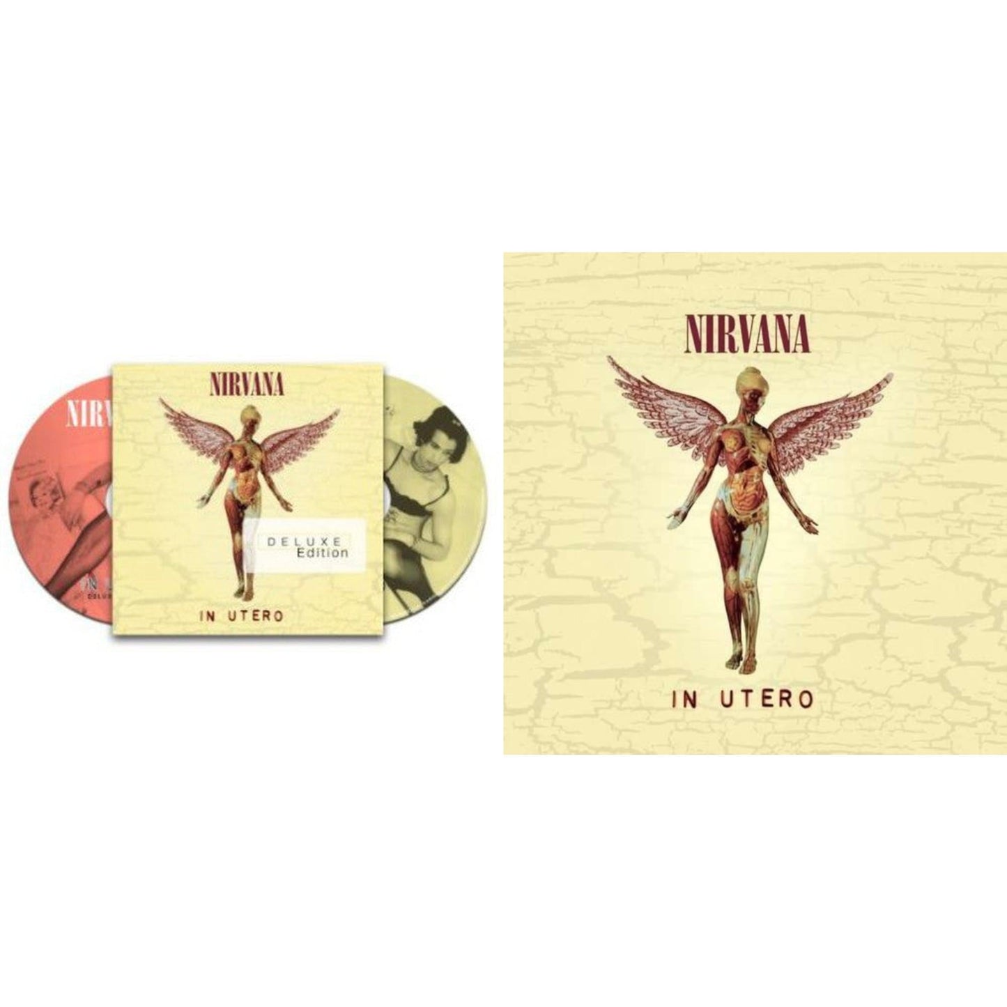 This is a 2 CD SKU bundle.
1.This CD is brand new.Format: CDMusic Style: GrungeThis item's title is: In UteroArtist: NirvanaLabel: GEFFENBarcode: 602537502974Release Date: 9/24/2013
2.This CD is brand new.