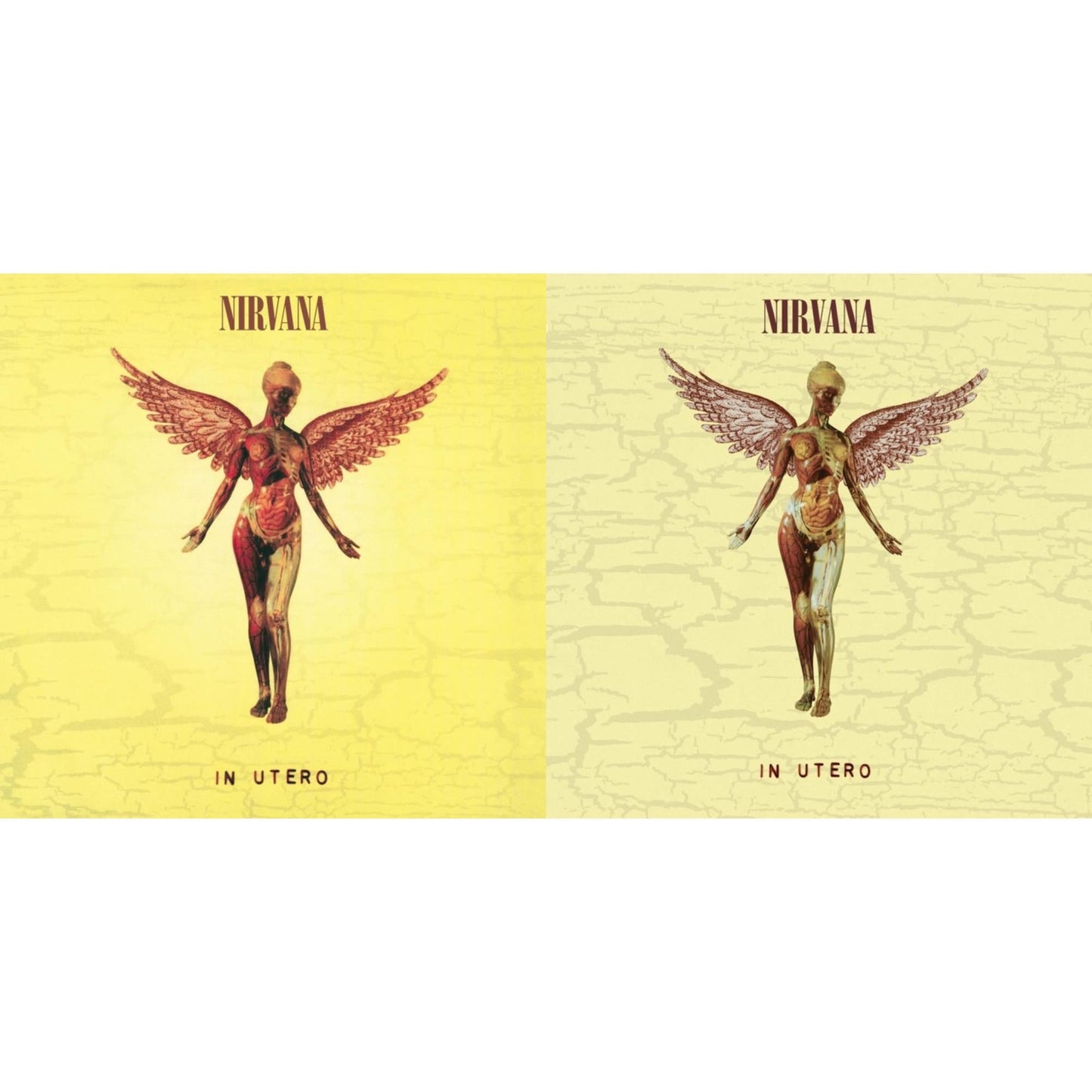 This is a 2 LP Vinyl SKU bundle.
1.This LP Vinyl is brand new.Format: LP VinylMusic Style: GrungeThis item's title is: In Utero (30Th Anniversary) (LP/10 Inch)Artist: NirvanaLabel: GEFFENBarcode: 602455178589Release Date: 10/27/2023
2.This LP Vinyl is brand new.