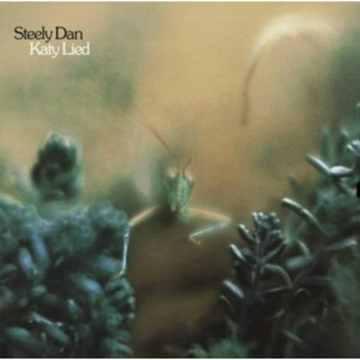 Countdown To Ecstasy & Katy Lied