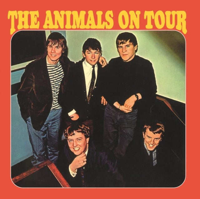 Animals & Animals On Tour & Animalization