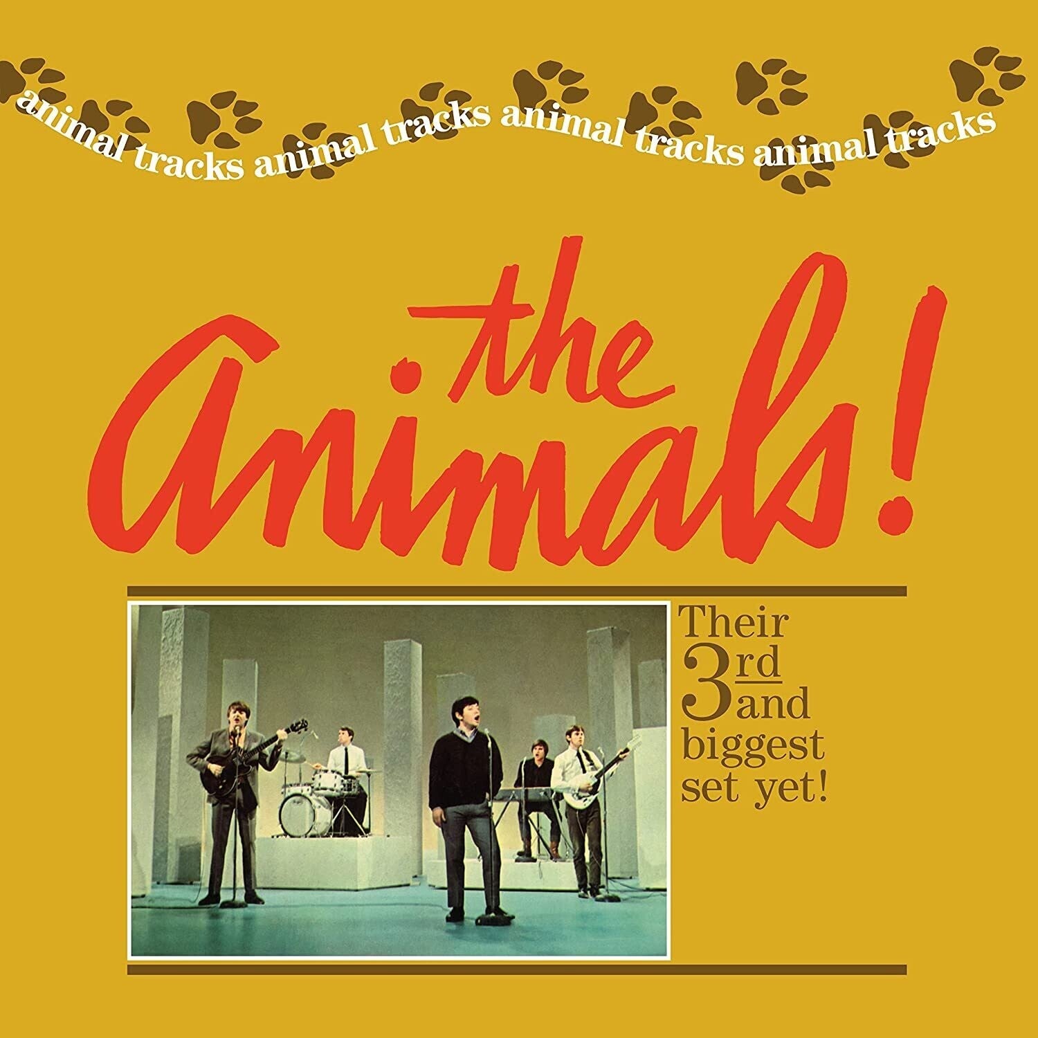Animals & Animals On Tour & Animal Tracks & Animalization