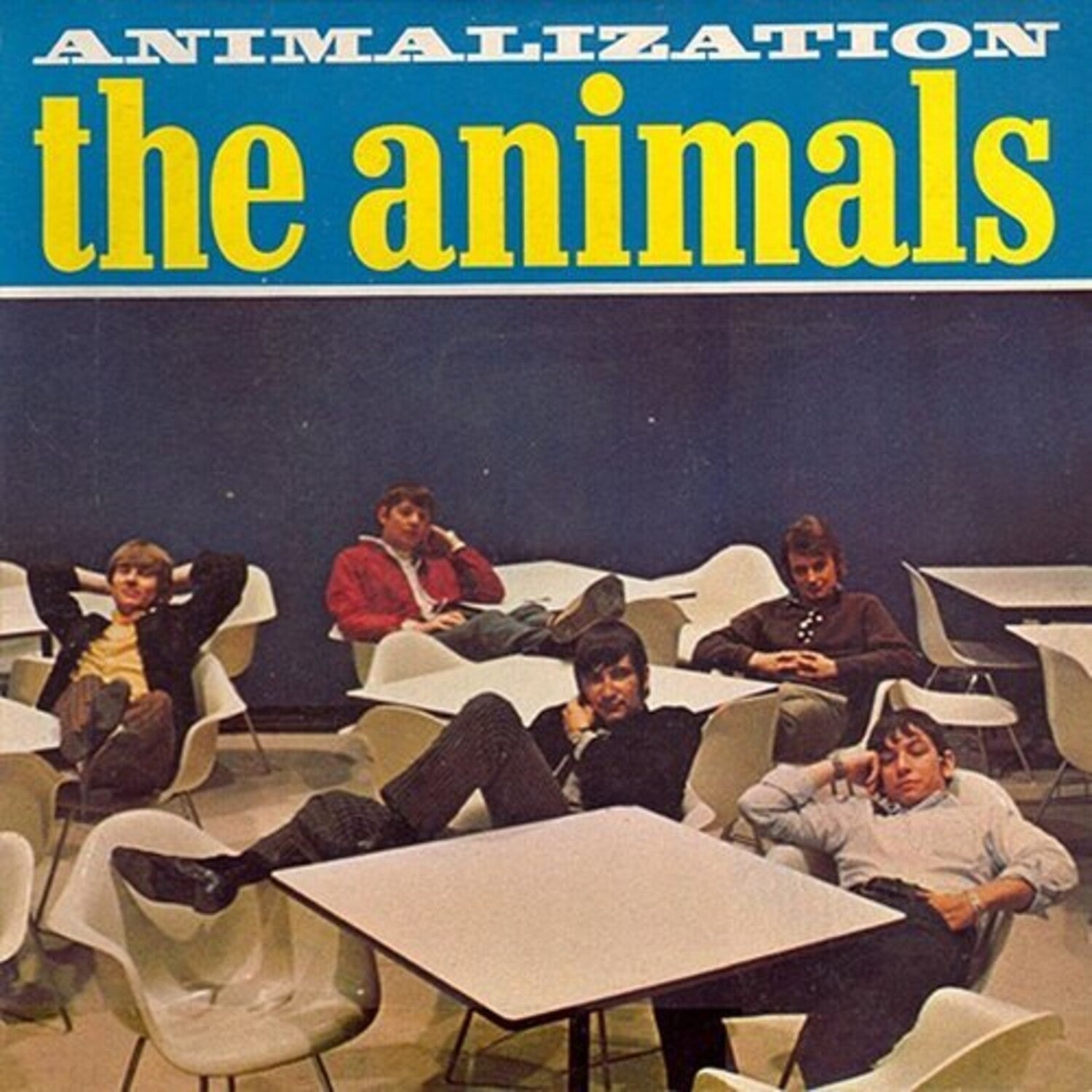 Animals - Animals & Animalization - LP Vinyl Bundle