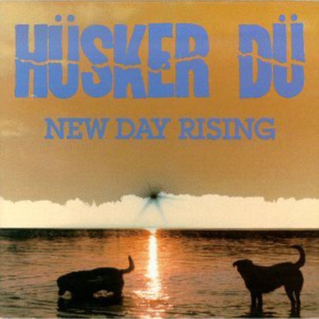 Zen Arcade & New Day Rising