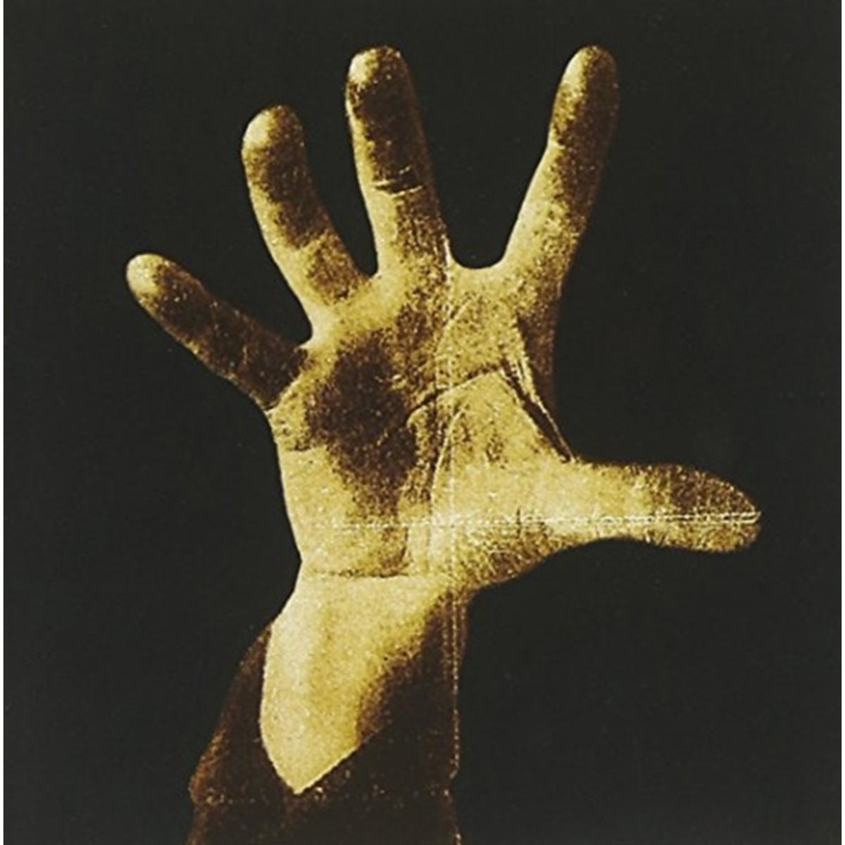 Toxicity & System Of A Down & Steal This Album & Hypnotize