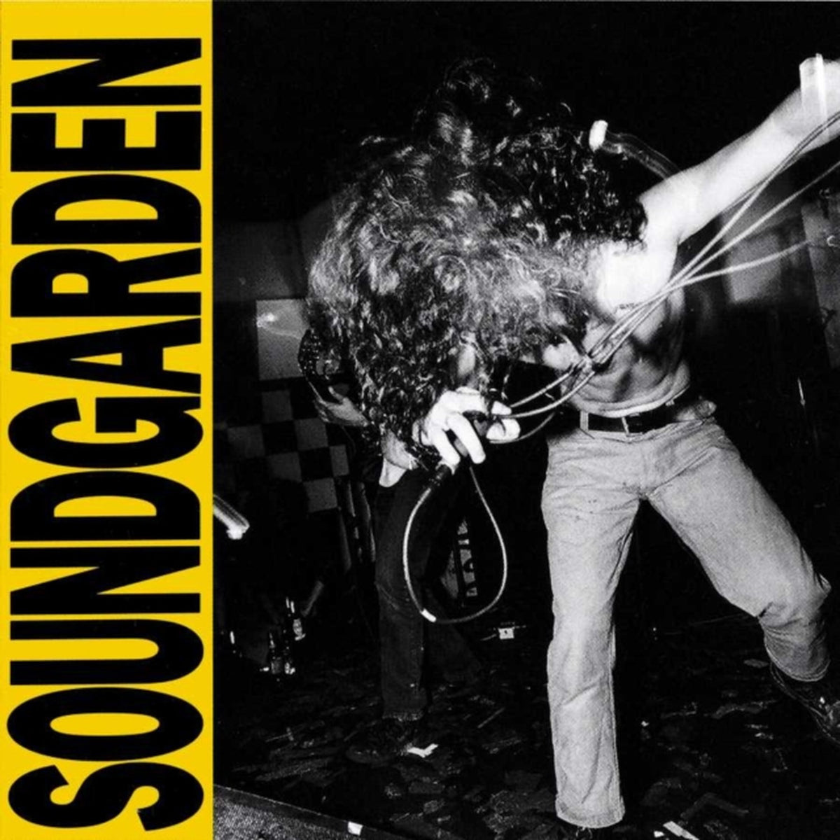 Louder Than Love & Badmotorfinger & Down On Upside