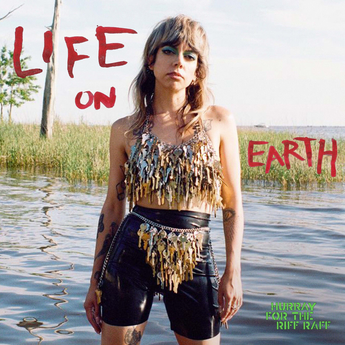 Life On Earth & Life On Earth (Clear LP Vinyl) (I) & Small Town Heroes (Pink Acid Wash LP Vinyl) & Navigator (Frosted Blue LP Vinyl)