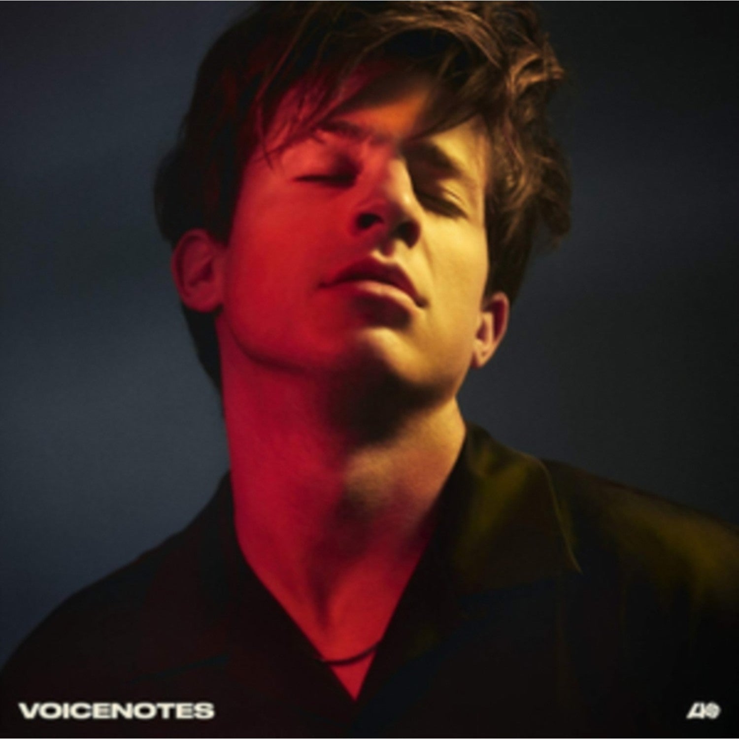 Whatever's Clever! (140G) & Voicenotes (Dl Code)