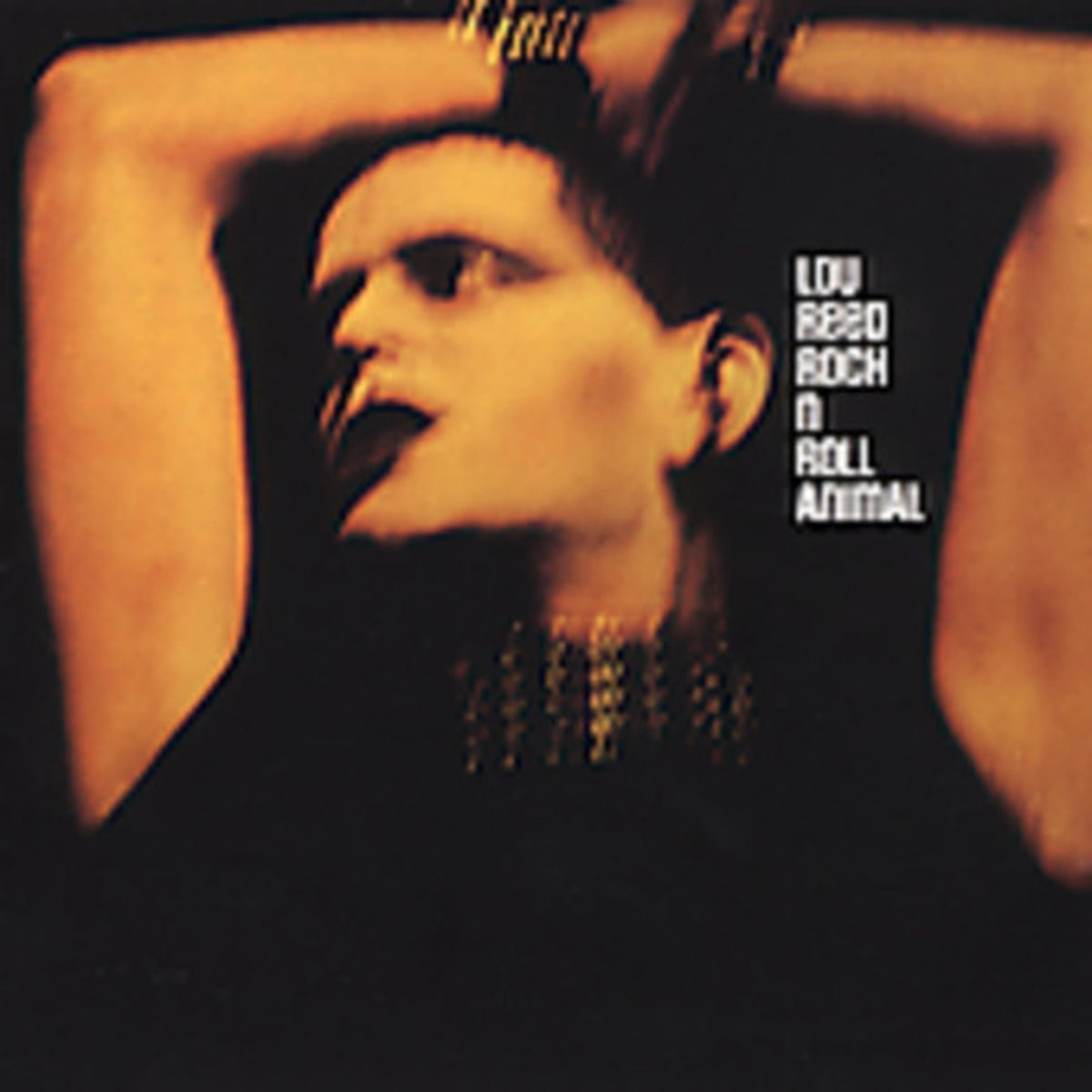 Rock & Roll Animal & Essential Lou Reed & Transformer