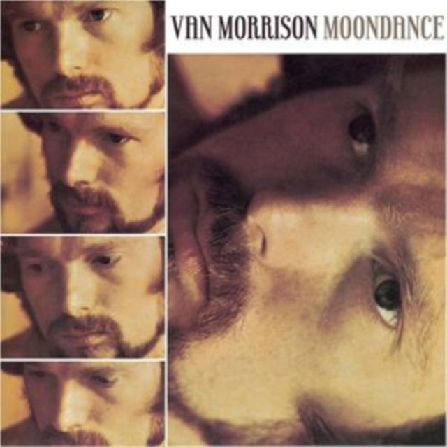 This is a 4 LP Vinyl SKU bundle.
1.This LP Vinyl is brand new.Format: LP VinylMusic Style: Rhythm & BluesThis item's title is: MoondanceArtist: Van MorrisonLabel: RHINO/WARNER BROS.Barcode: 081227990701Release Date: 12/30/2008
2.This LP Vinyl is brand new.