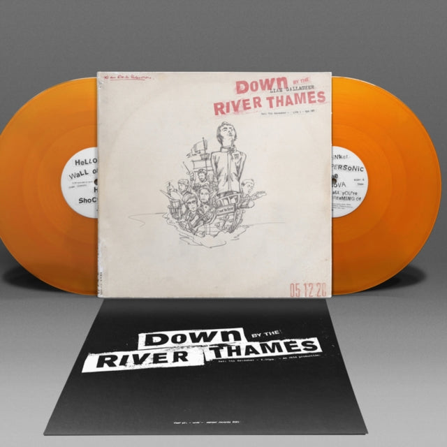 Mtv Unplugged (Live At Hull City Hall) (I) (Light Pink With Aqua Green Splatter LP Vinyl) & Why Me? Why Not (Picutre Disc) & Down By The River Thames (2LP/Orange Vinyl) & As You Were  (Zoetrope LP Vinyl)