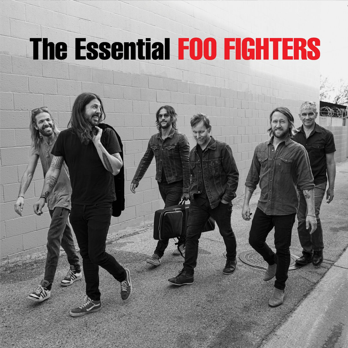 There Is Nothing Left To Lose & Essential Foo Fighters