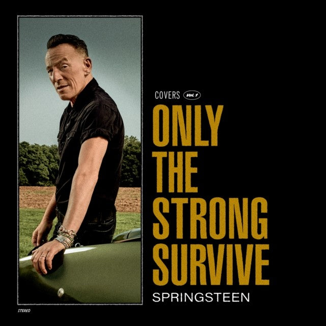 Only The Strong Survive & Chimes Of Freedom