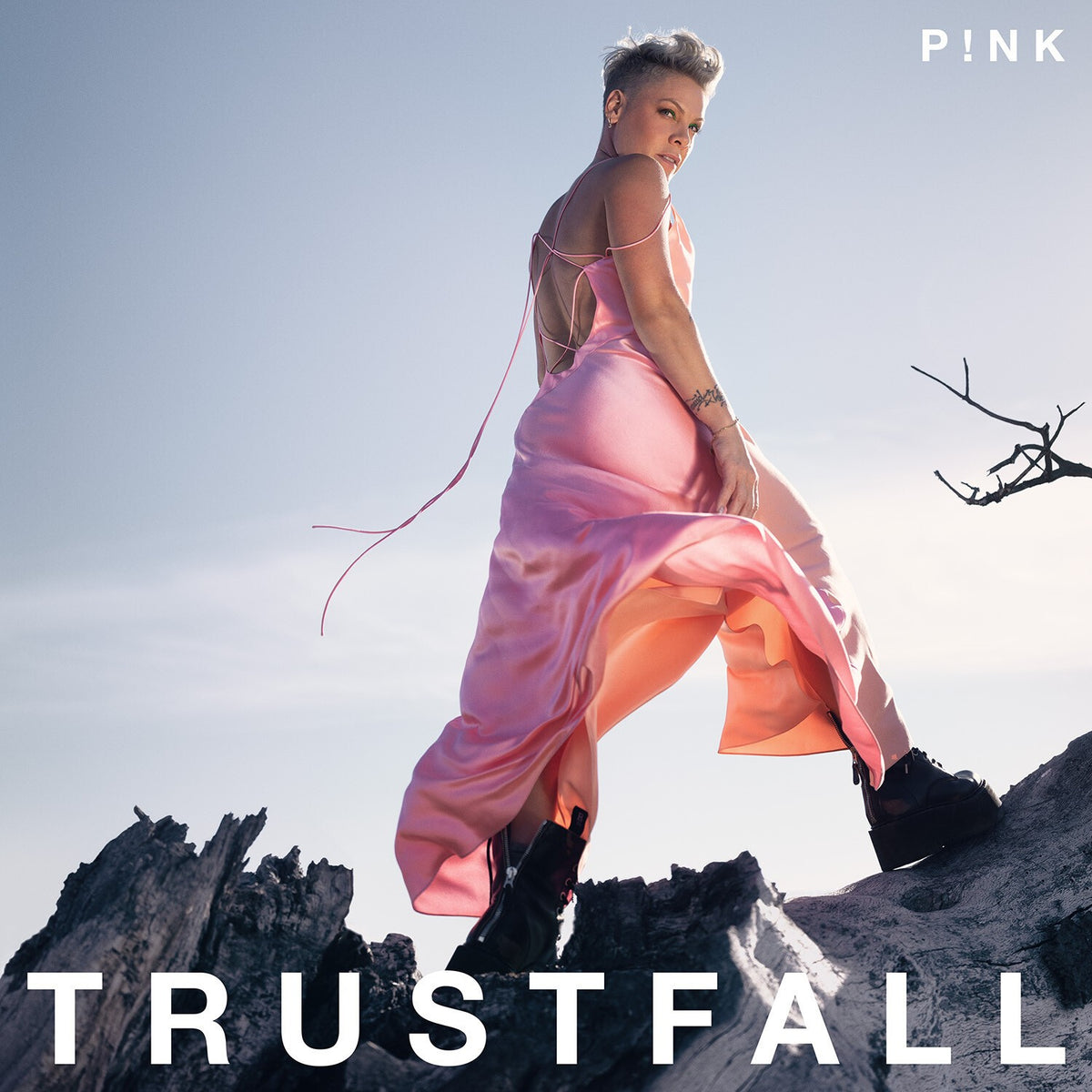 Trustfall & Greatest Hits So Far (Explicit Version)