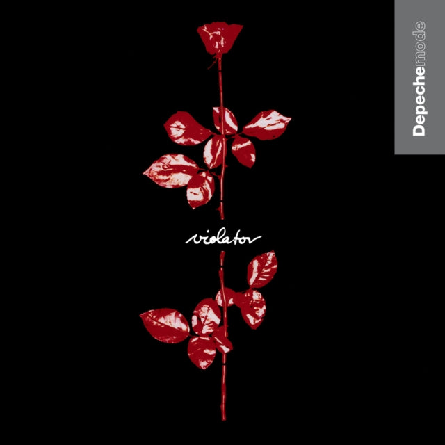 Memento Mori (Booklet) & Violator & Delta Machine