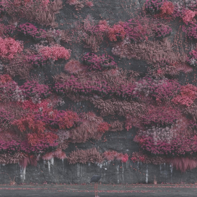 Even In Arcadia & Take Me Back To Eden & Sundowning