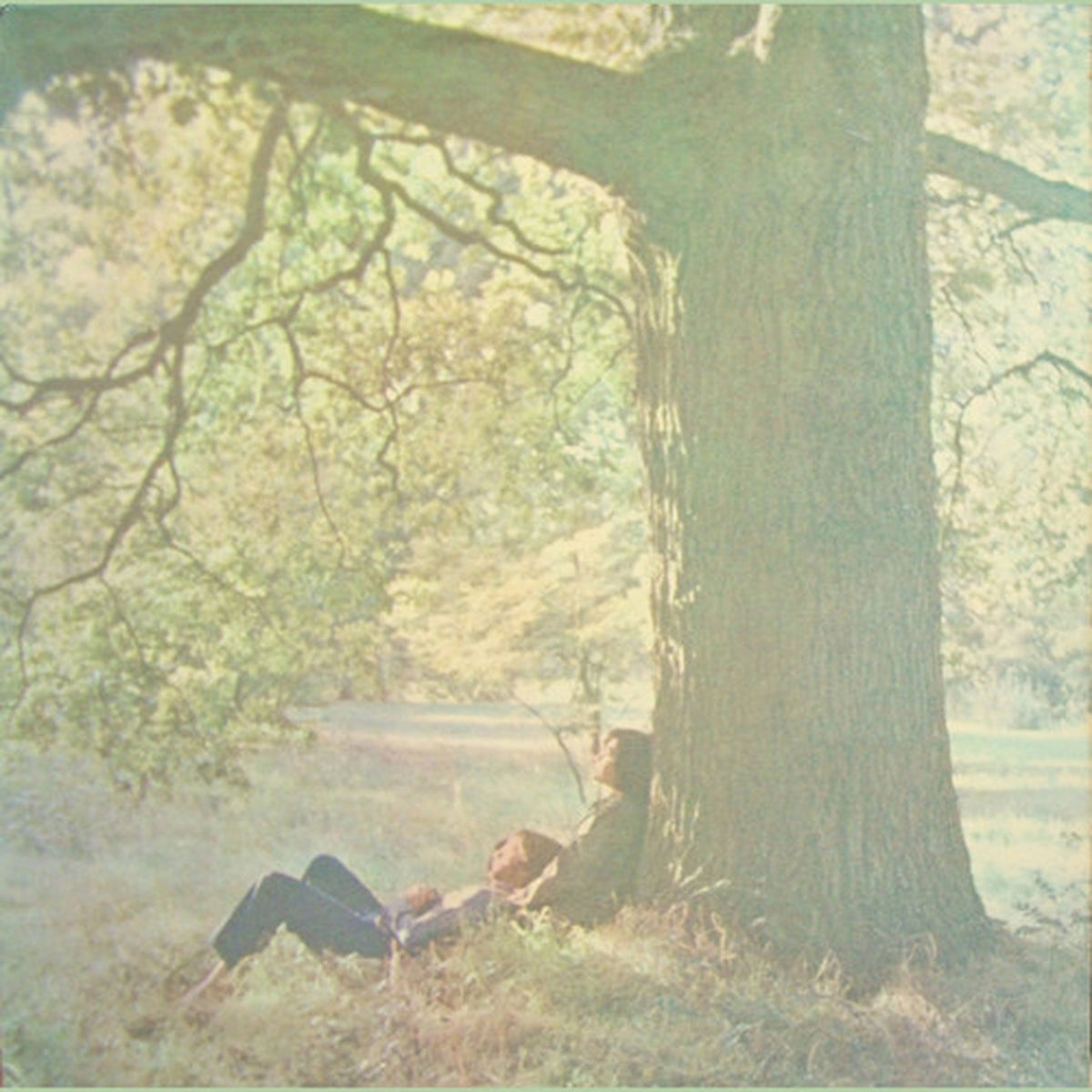 Shaved Fish & Plastic Ono Band