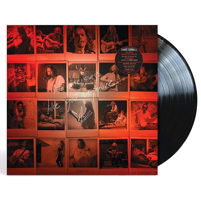 No One Sings Like You Anymore & No One Sings Like You Anymore (Picture Disc) & Euphoria Mourning & Chris Cornell (2LP/180G)