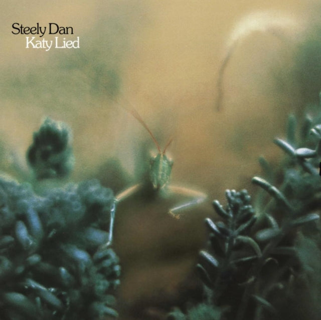 Katy Lied  & Everything Must Go