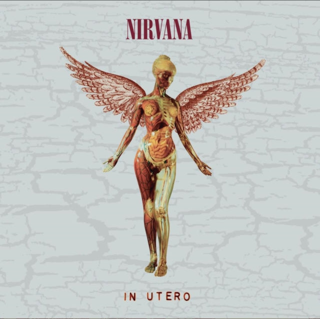 This is a 5 CD SKU bundle.
1.This CD is brand new.Format: CDMusic Style: GrungeThis item's title is: In Utero (30Th Anniversary) (2CD)Artist: NirvanaLabel: UMeBarcode: 602455178572Release Date: 10/27/2023
2.This CD is brand new.