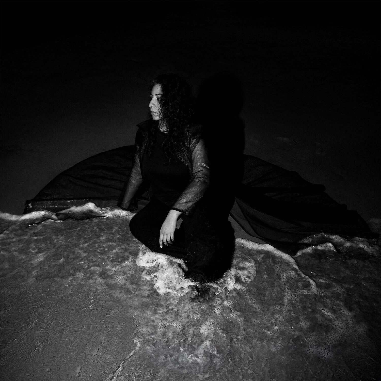 Arooj Aftab - Vulture Prince (Deluxe Edition/2LP) & Night Reign