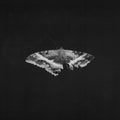 To Pimp A Butterfly (X) (10 Year Anniversary Edition/Alternate Artwork/180G/2LP) & Damn. (X) (2LP/180G)