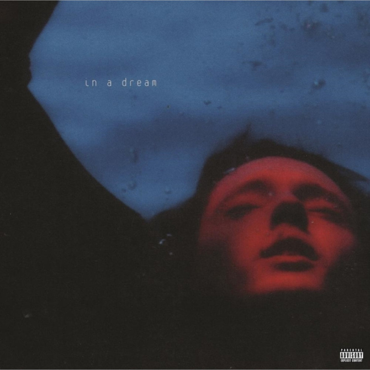 In A Dream (5 Year Anniversary) (Red/Blue Swirl LP Vinyl/Ep) & Bloom