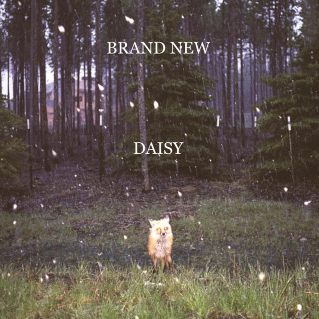 Daisy & Science Fiction & Deja Entendu