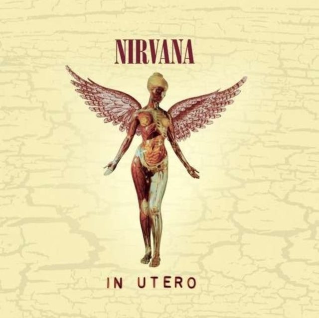 Icon & Nevermind & In Utero & Nirvana & Incesticide & Unplugged In N.Y.