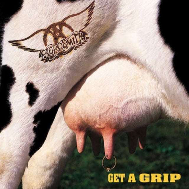 Greatest Hits (2LP) & Night In The Ruts & Rocks & Get A Grip