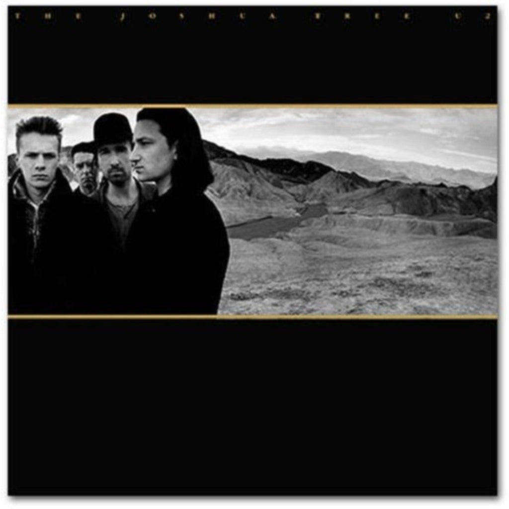 Boy & Joshua Tree