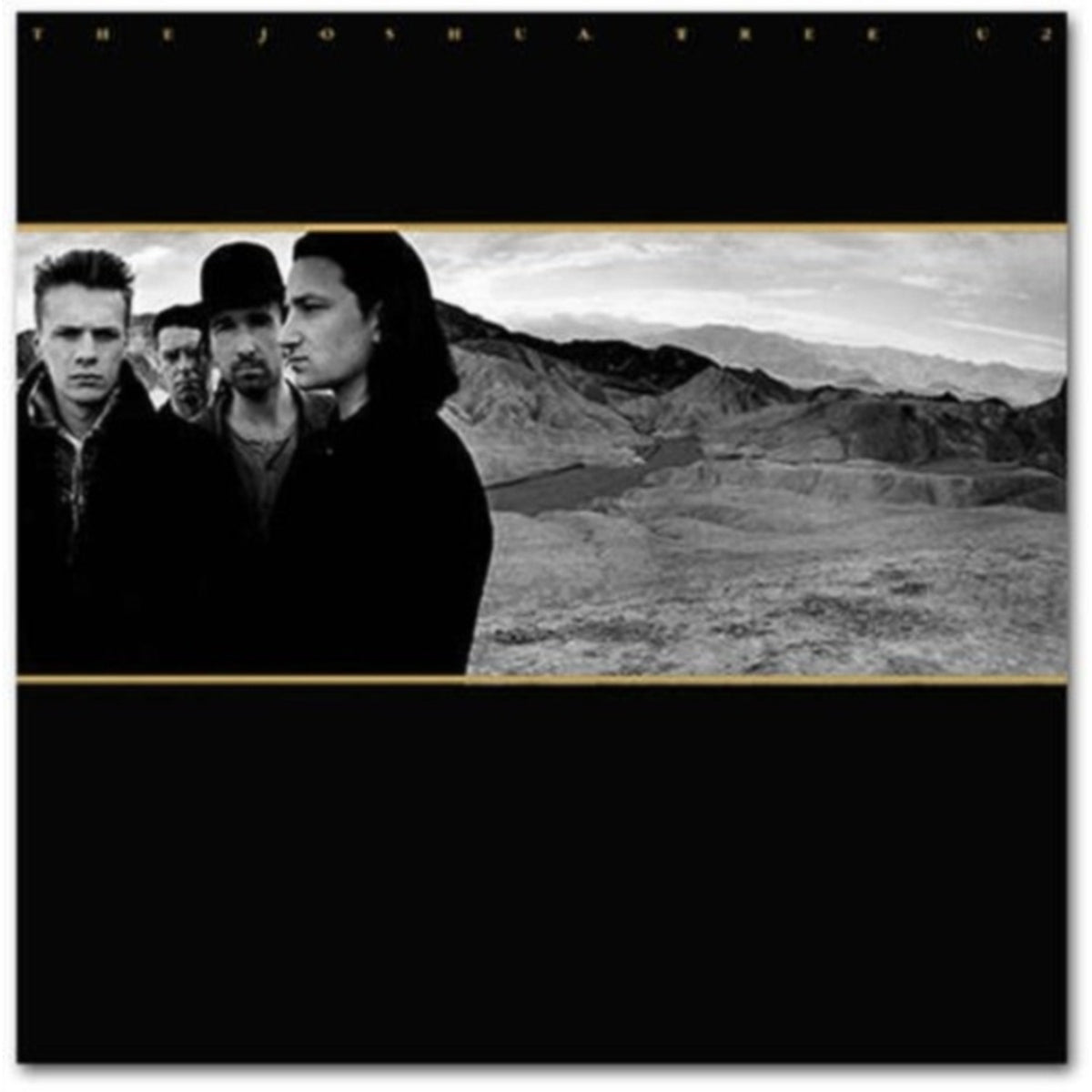 Boy & Joshua Tree