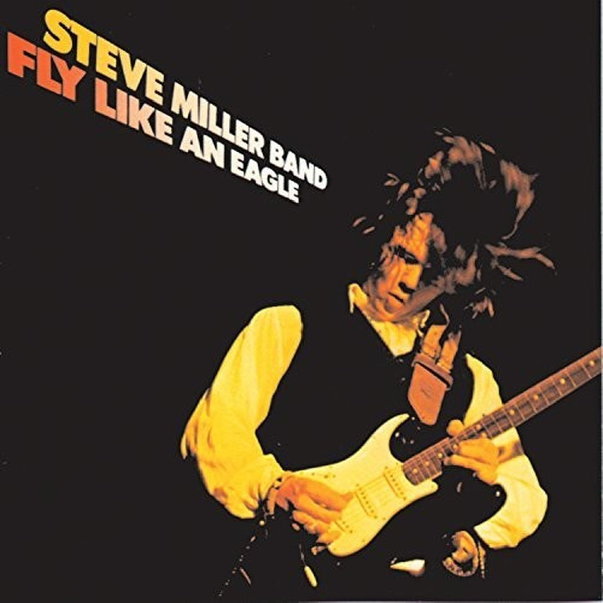Greatest Hits: 1974 - 1978 & Fly Like An Eagle (180G)