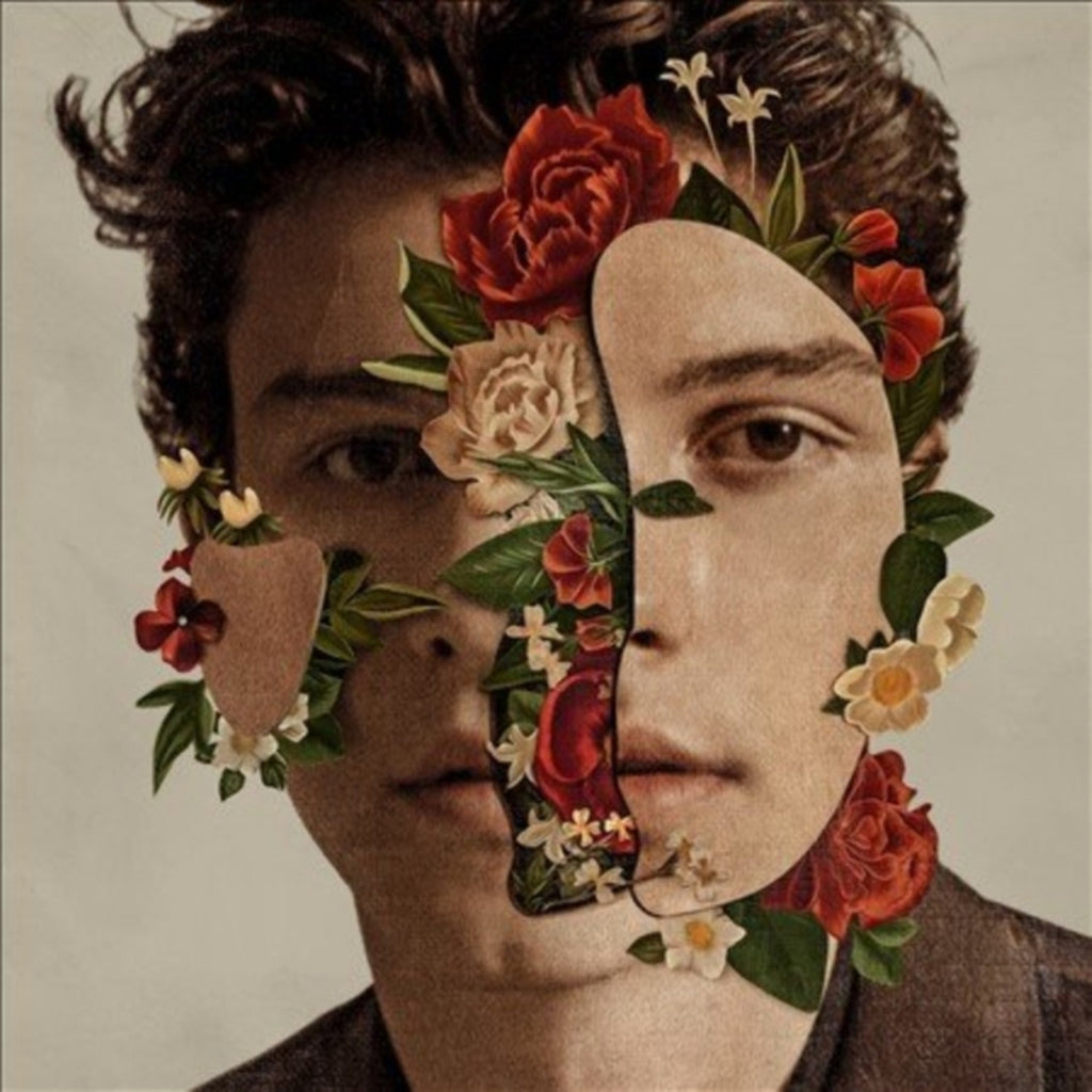 Handwritten & Shawn Mendes