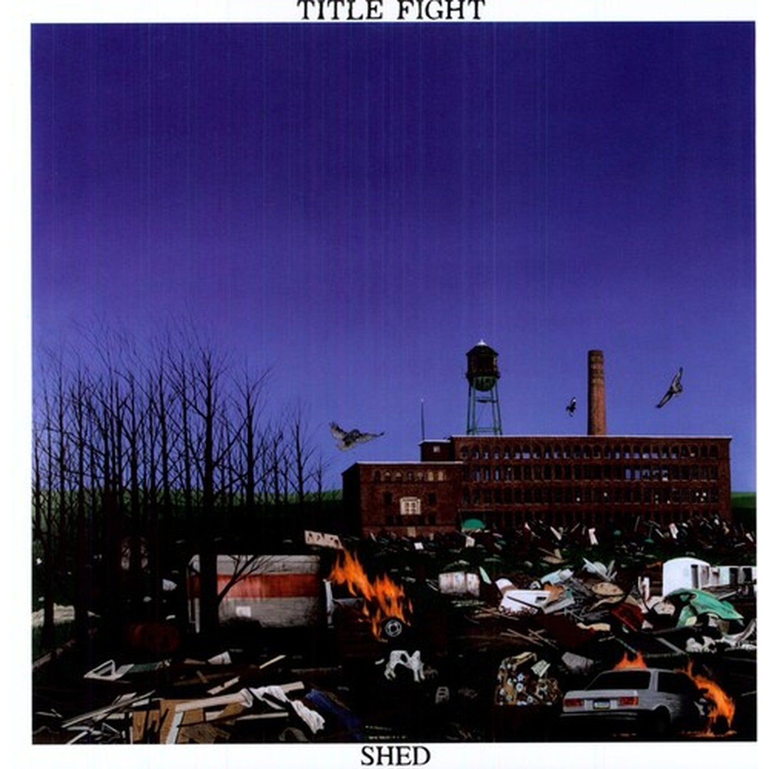 Title Fight - Shed & Floral Green - LP Vinyl Bundle