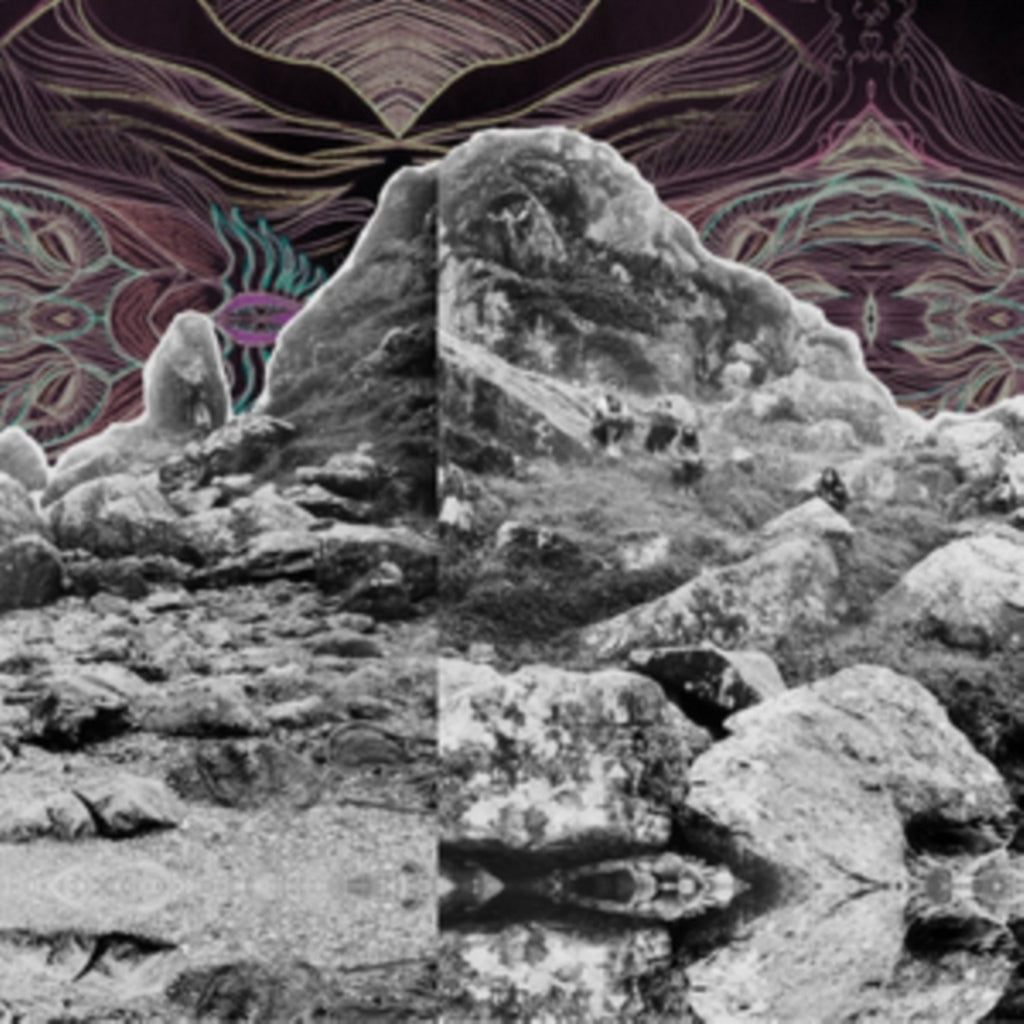 Dying Surfer Meets His Maker (Dl Code) & Live On The Internet (3LP)