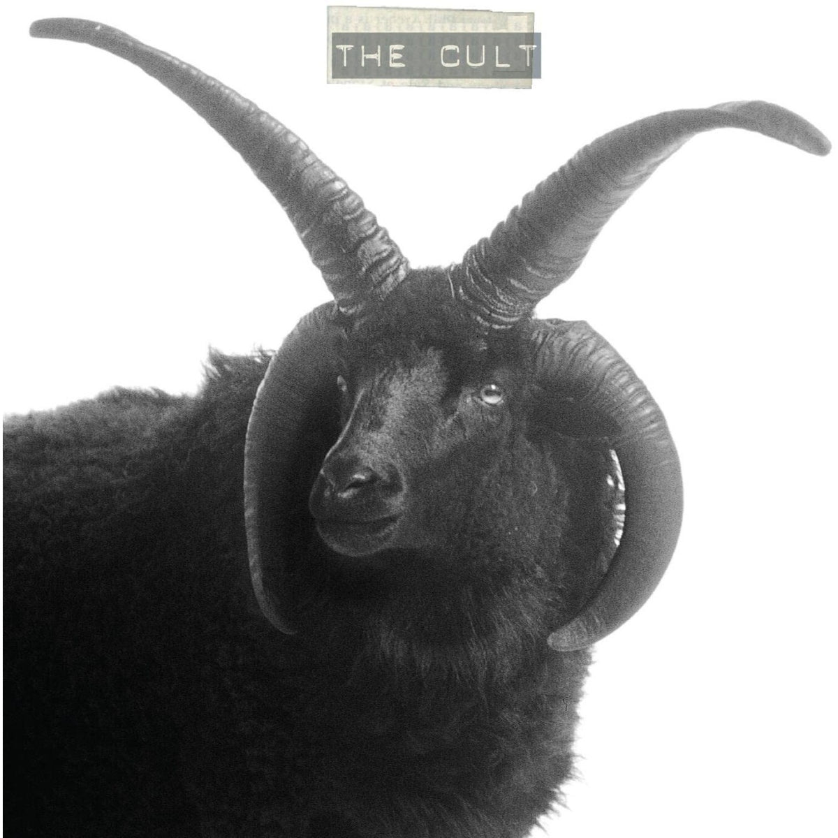 Electric (Blue LP Vinyl) (I) & Cult (2LP)