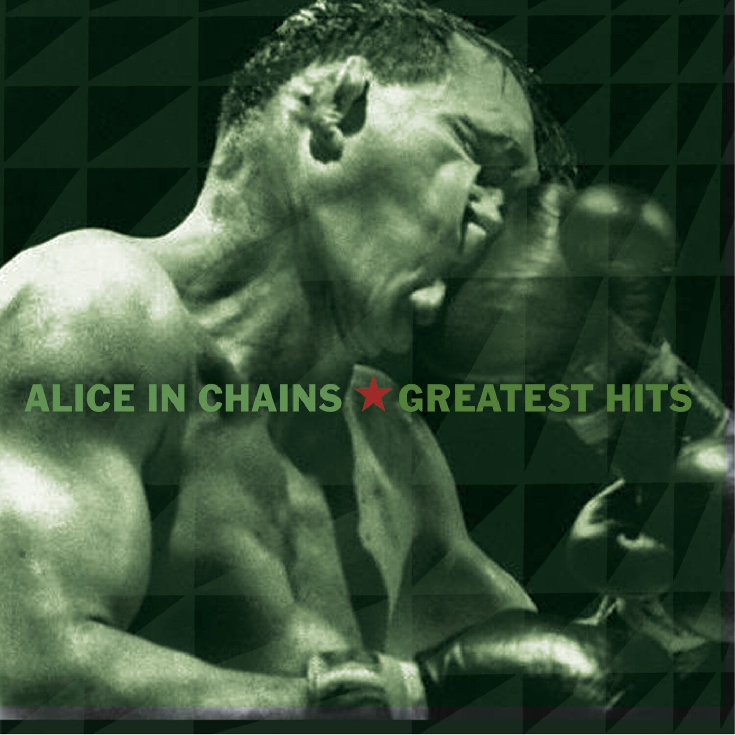 Devil Put Dinosaurs Here & Greatest Hits & Essential Alice In Chains & Unplugged & Live & Alice In Chains