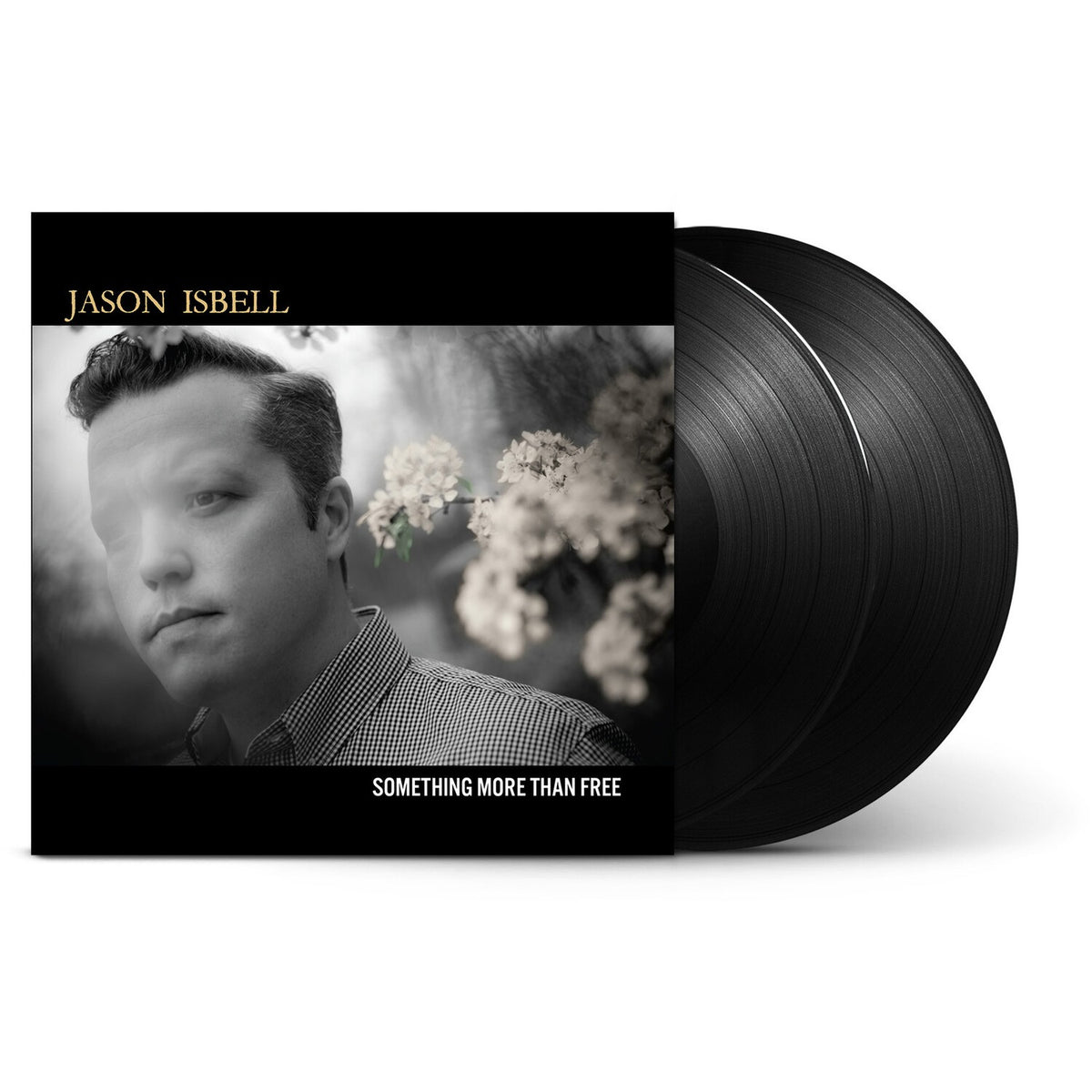 Sirens Of The Ditch (Dress Blues Swirl Vinyl/2LP) & Southeastern (10 Year Anniversary Edition) & Something More Than Free (10 Year Anniversary Edition) (2LP) & Foxes In The Snow