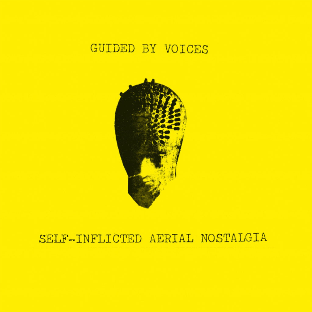 Self-Inflicted Aerial Nostalgia & Same Place The Fly Got Smashed (Color LP Vinyl)
