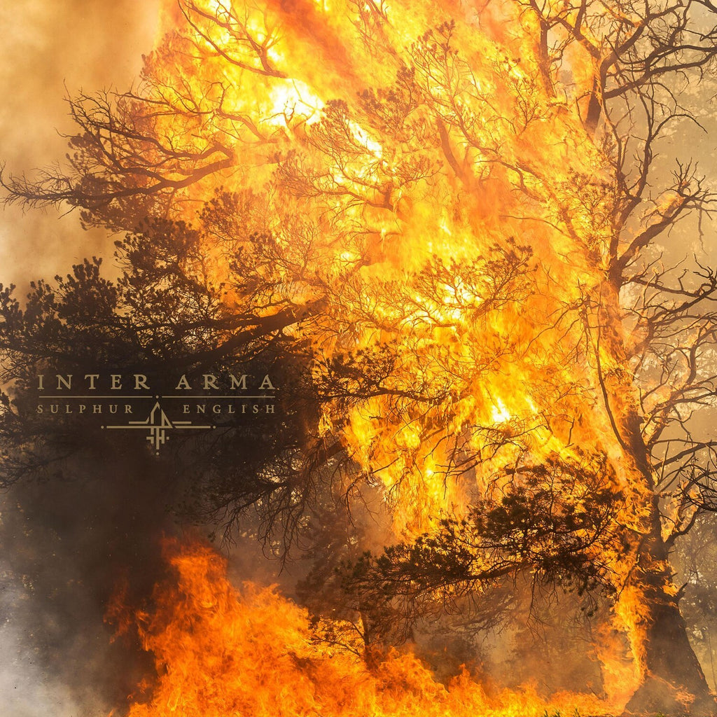 Sky Burial (Coke Bottle Green With Aqua Blue, Bone White & Silver Splatter LP Vinyl) & Paradise Gallows (Mint Green & Grimace Purple Galaxy Merge Vinyl/2LP) & Sulphur English (Gold Nugget Vinyl/2LP)