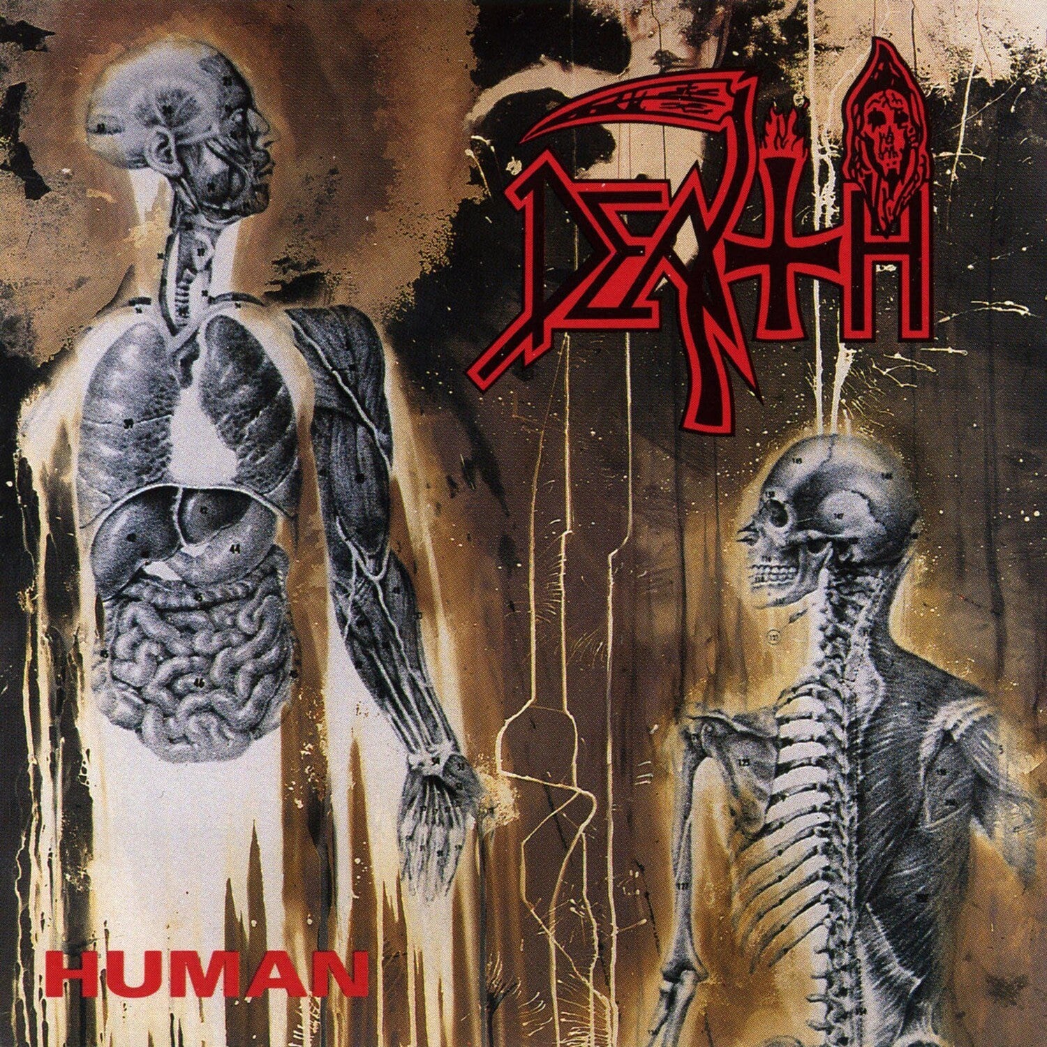 Human & Individual Thought Patterns & Leprosy Reissue
