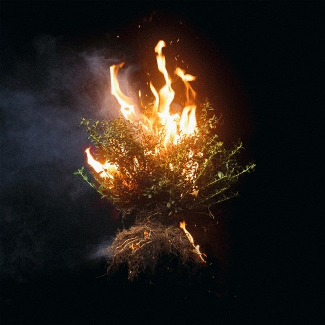 When Wind Meets Fire (2CD) & Can You Imagine? & Echo The Angels