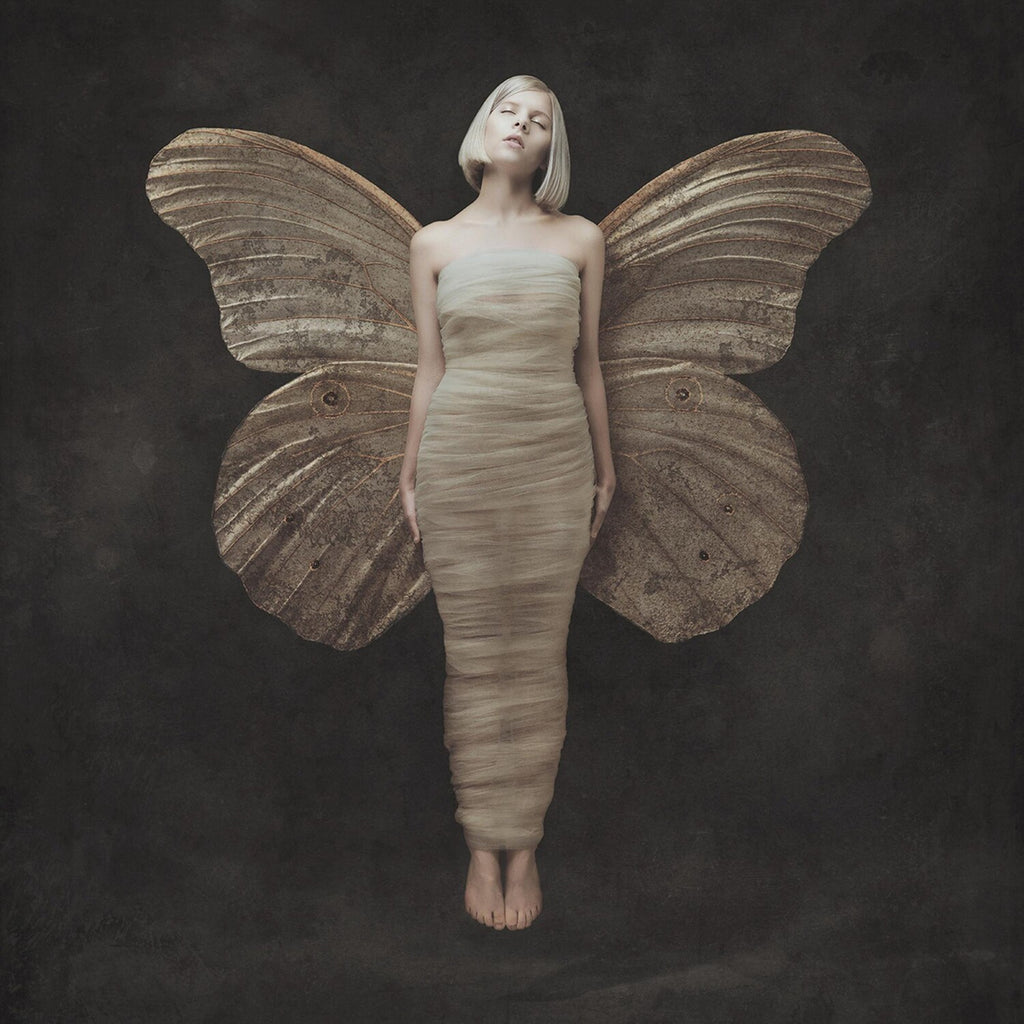 All My Demons Greeting Me As A Friend & What Happened To The Heart (Clear Vinyl/2LP)