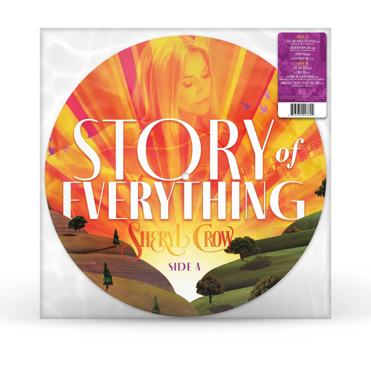 Story Of Everything (Picture Disc) & Evolution (Color LP Vinyl)