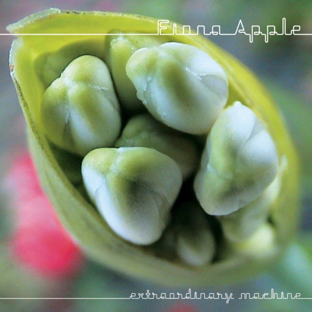 Fiona Apple - Idler Wheel Is Wiser Than The Driver & Extraordinary Machine & When The Pawn & Tidal - CD Bundle