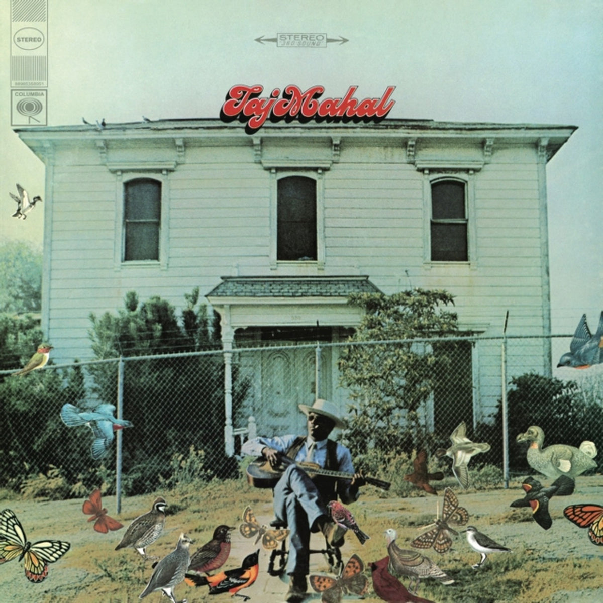 Taj Mahal & Natch'l Blues